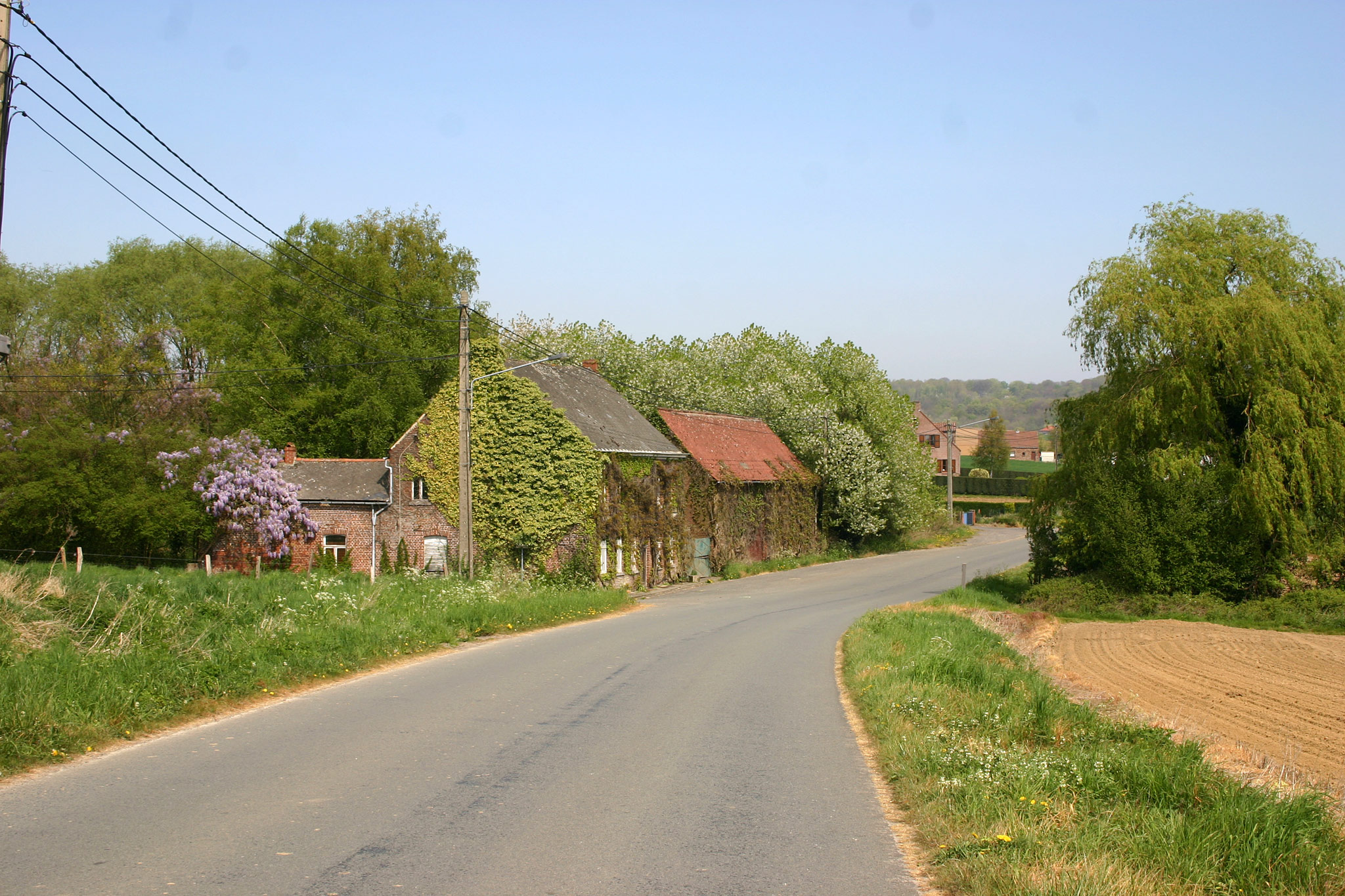 Collines, Ellezelles